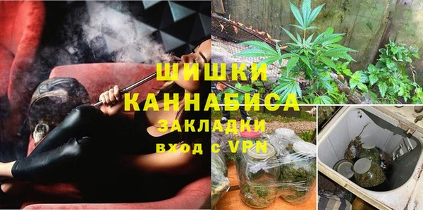 гидра Белоозёрский