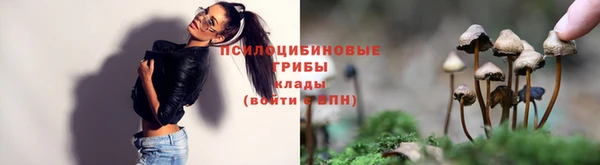 гашиш Белокуриха
