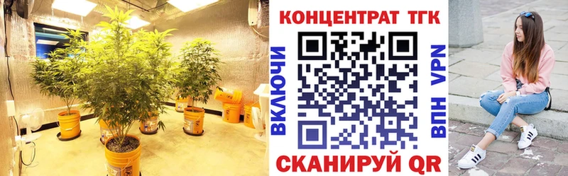 ТГК гашишное масло  даркнет формула  Кораблино 