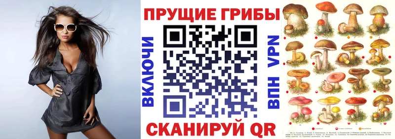 Галлюциногенные грибы мицелий  Кораблино 